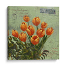 Floraciones Naranjas Y Franqueo Ii - Rick Novak | Cuadro decorativo de Canvas Lab