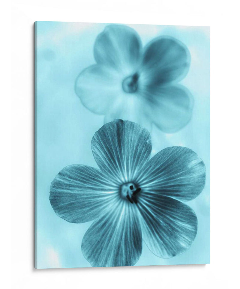 Olvídame No Azul I - Teton Parchment | Cuadro decorativo de Canvas Lab