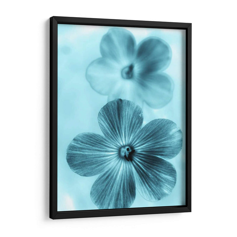 Olvídame No Azul I - Teton Parchment | Cuadro decorativo de Canvas Lab