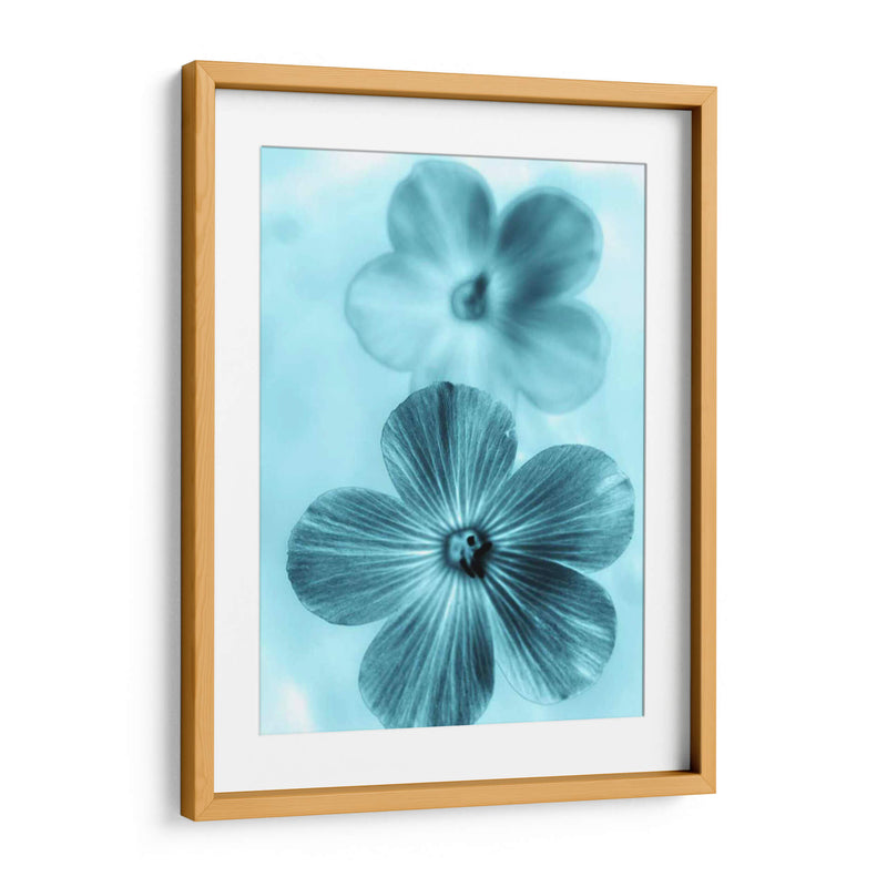 Olvídame No Azul I - Teton Parchment | Cuadro decorativo de Canvas Lab