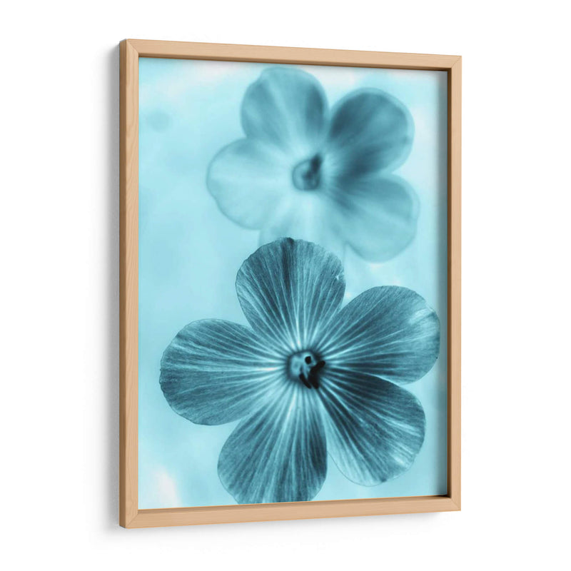 Olvídame No Azul I - Teton Parchment | Cuadro decorativo de Canvas Lab