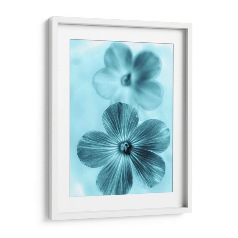 Olvídame No Azul I - Teton Parchment | Cuadro decorativo de Canvas Lab