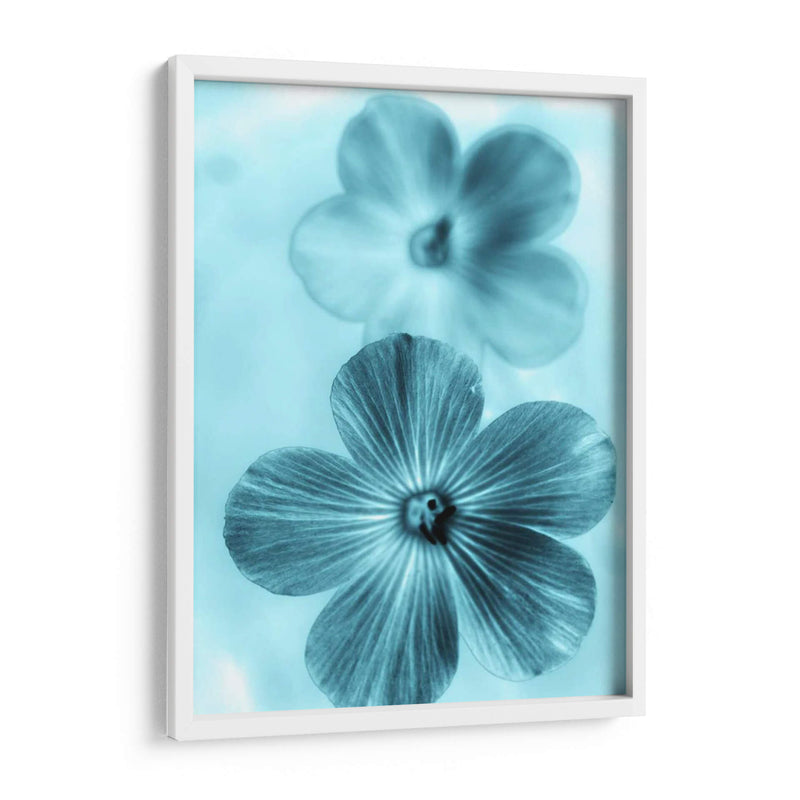 Olvídame No Azul I - Teton Parchment | Cuadro decorativo de Canvas Lab