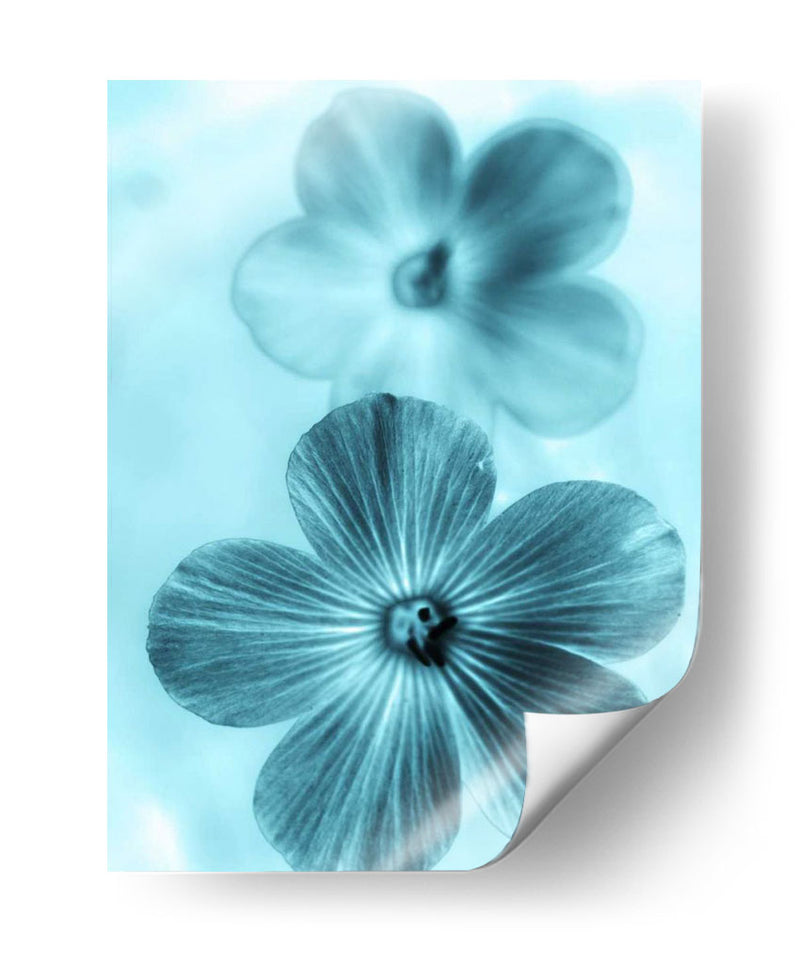 Olvídame No Azul I - Teton Parchment | Cuadro decorativo de Canvas Lab