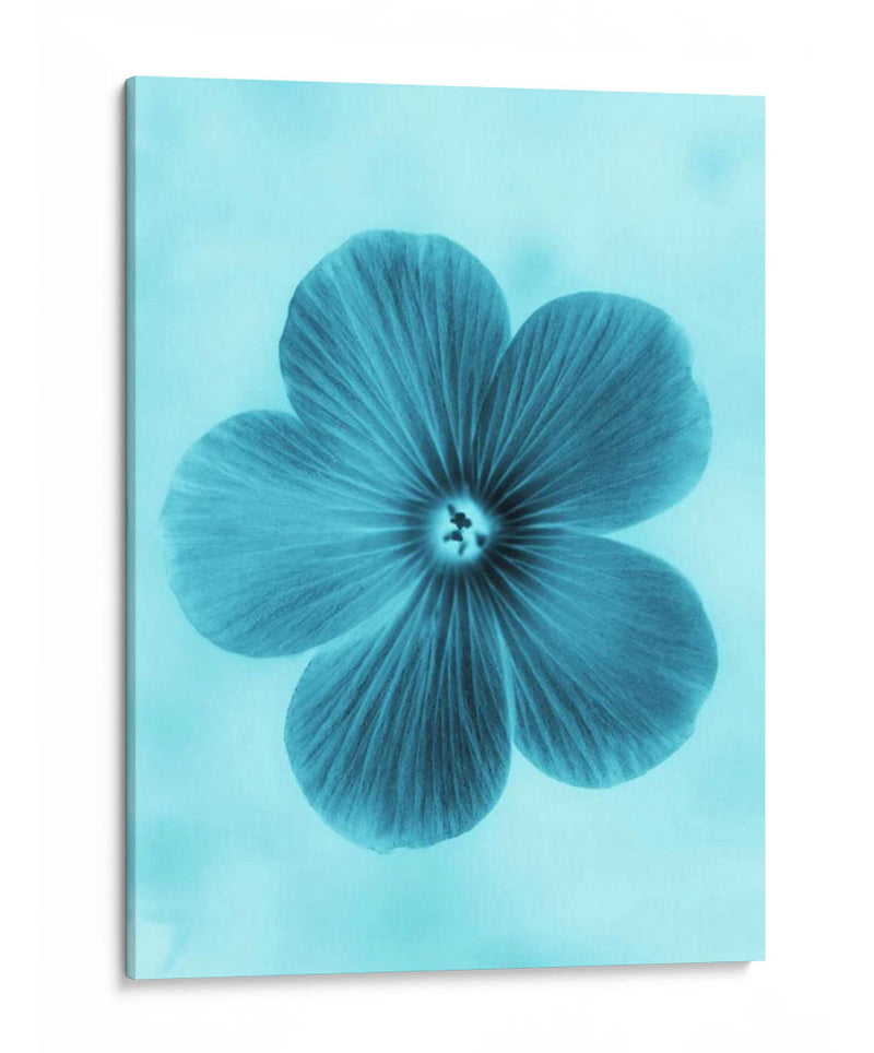 Olvídame No Azul Ii - Teton Parchment | Cuadro decorativo de Canvas Lab