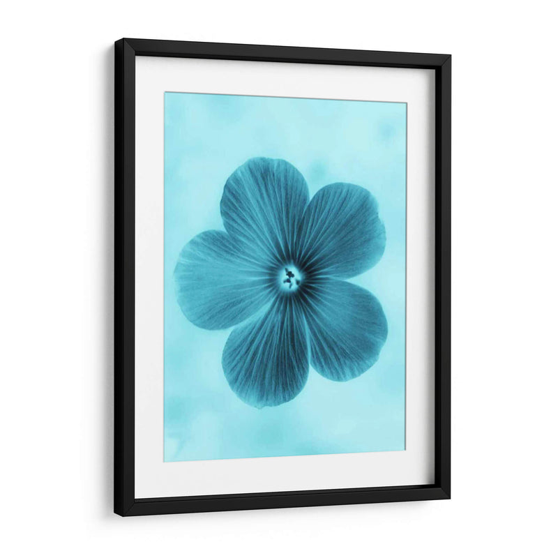 Olvídame No Azul Ii - Teton Parchment | Cuadro decorativo de Canvas Lab