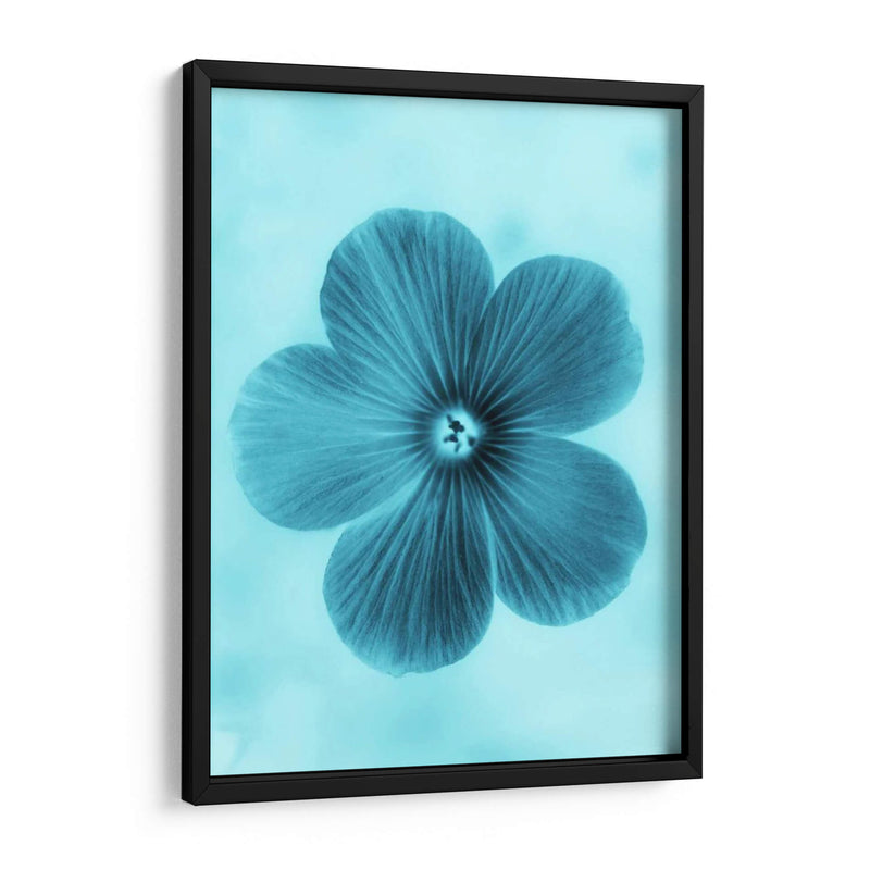 Olvídame No Azul Ii - Teton Parchment | Cuadro decorativo de Canvas Lab