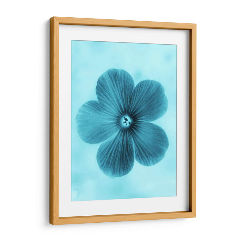 Olvídame No Azul Ii - Teton Parchment | Cuadro decorativo de Canvas Lab