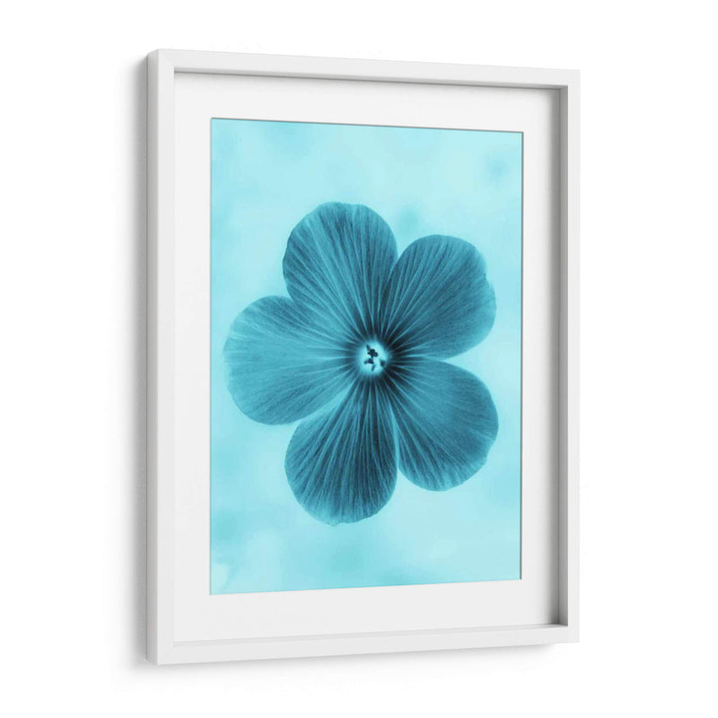 Olvídame No Azul Ii - Teton Parchment | Cuadro decorativo de Canvas Lab