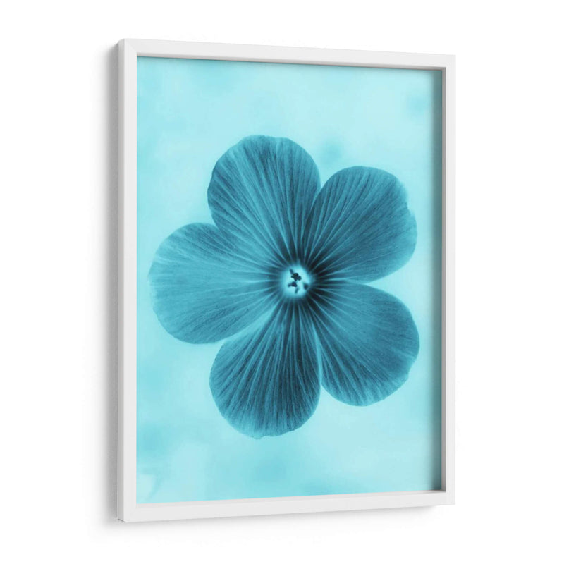 Olvídame No Azul Ii - Teton Parchment | Cuadro decorativo de Canvas Lab