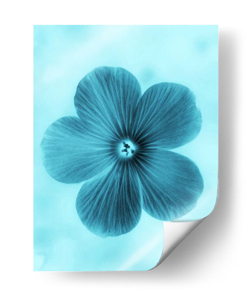 Olvídame No Azul Ii - Teton Parchment | Cuadro decorativo de Canvas Lab