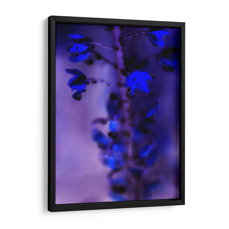 La Lluvia De La Mañana Iii - Teton Parchment | Cuadro decorativo de Canvas Lab