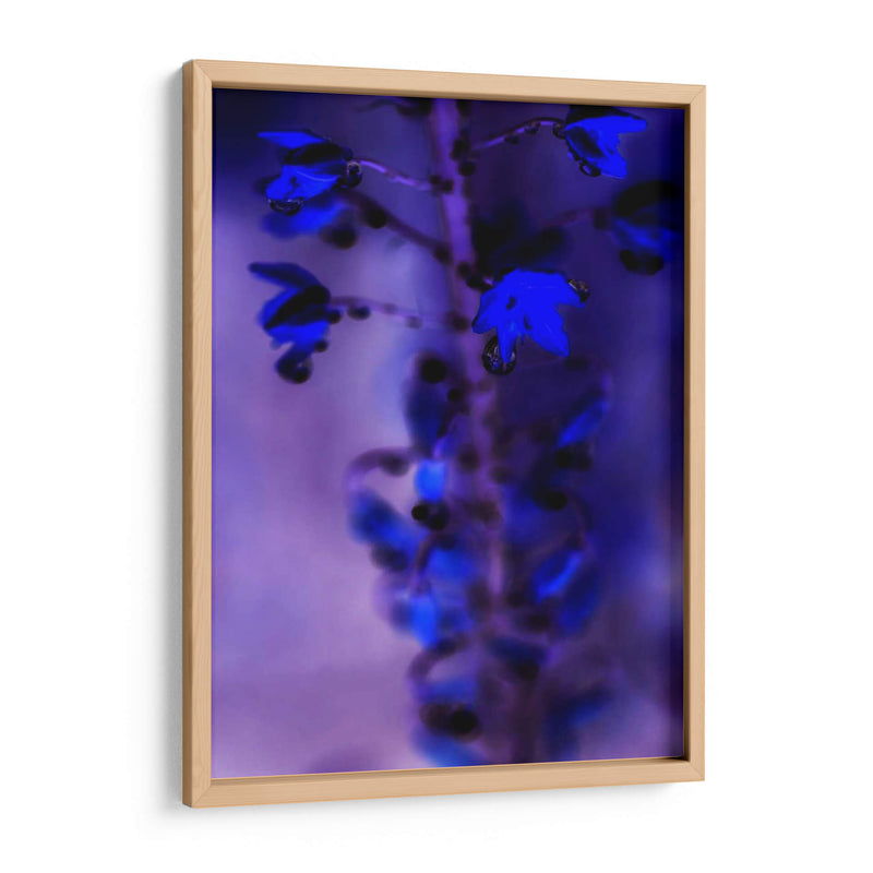 La Lluvia De La Mañana Iii - Teton Parchment | Cuadro decorativo de Canvas Lab