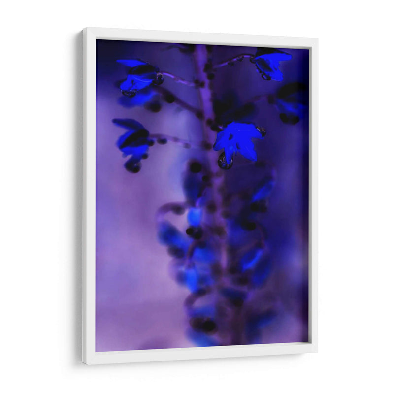 La Lluvia De La Mañana Iii - Teton Parchment | Cuadro decorativo de Canvas Lab