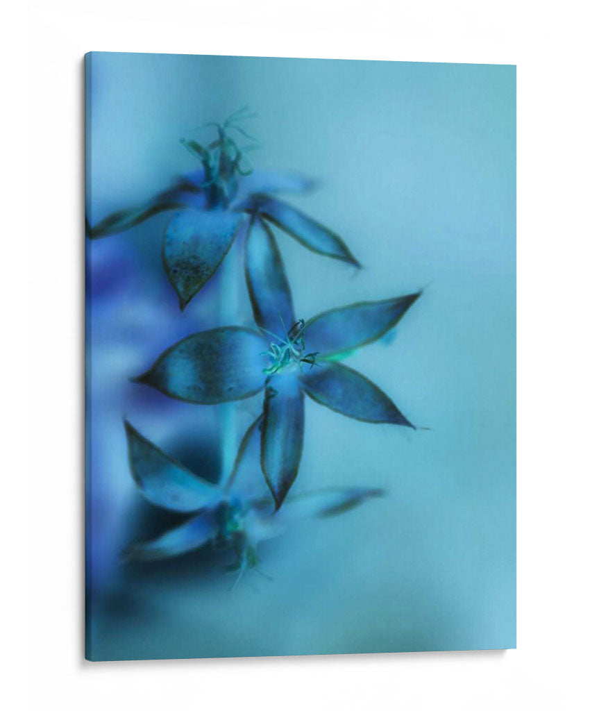 Cayendo Hacia Adelante Ii - Teton Parchment | Cuadro decorativo de Canvas Lab