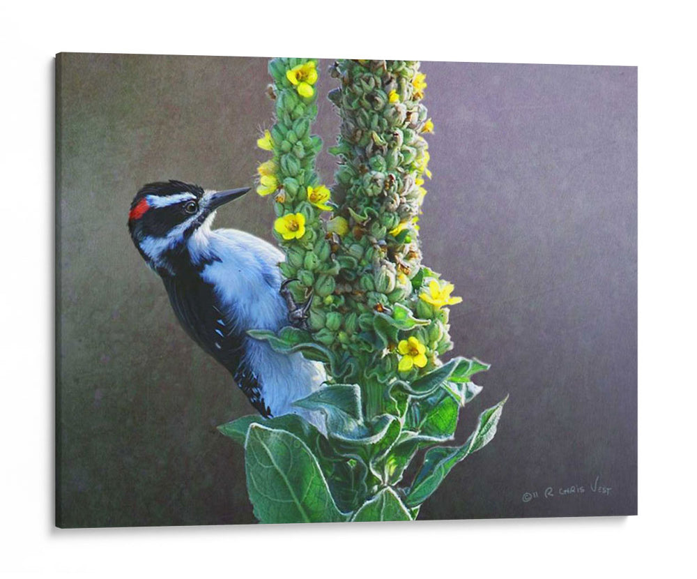 Poderpecker Mullen - Chris Vest | Cuadro decorativo de Canvas Lab