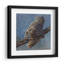 Búho En Invierno I - Chris Vest | Cuadro decorativo de Canvas Lab