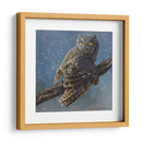Búho En Invierno I - Chris Vest | Cuadro decorativo de Canvas Lab