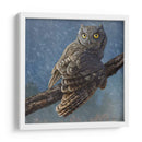 Búho En Invierno I - Chris Vest | Cuadro decorativo de Canvas Lab