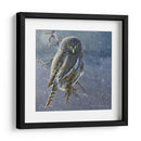 Búho En Invierno Ii - Chris Vest | Cuadro decorativo de Canvas Lab