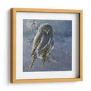 Búho En Invierno Ii - Chris Vest | Cuadro decorativo de Canvas Lab
