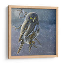 Búho En Invierno Ii - Chris Vest | Cuadro decorativo de Canvas Lab