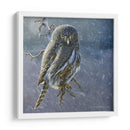 Búho En Invierno Ii - Chris Vest | Cuadro decorativo de Canvas Lab