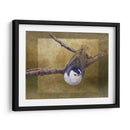 Trepatroncos - Chris Vest | Cuadro decorativo de Canvas Lab