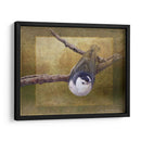 Trepatroncos - Chris Vest | Cuadro decorativo de Canvas Lab