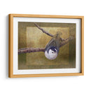 Trepatroncos - Chris Vest | Cuadro decorativo de Canvas Lab