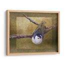 Trepatroncos - Chris Vest | Cuadro decorativo de Canvas Lab