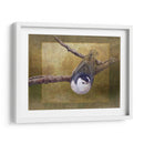 Trepatroncos - Chris Vest | Cuadro decorativo de Canvas Lab