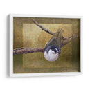 Trepatroncos - Chris Vest | Cuadro decorativo de Canvas Lab