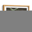 Protonotario - Chris Vest | Cuadro decorativo de Canvas Lab