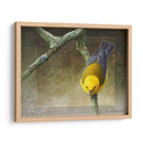 Protonotario - Chris Vest | Cuadro decorativo de Canvas Lab