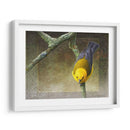 Protonotario - Chris Vest | Cuadro decorativo de Canvas Lab