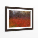 Hierba Roja I - Chris Vest | Cuadro decorativo de Canvas Lab