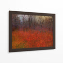 Hierba Roja I - Chris Vest | Cuadro decorativo de Canvas Lab