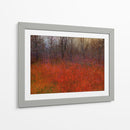 Hierba Roja I - Chris Vest | Cuadro decorativo de Canvas Lab