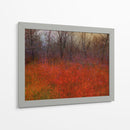 Hierba Roja I - Chris Vest | Cuadro decorativo de Canvas Lab