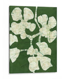 Floraciones Verdes Ii - Andrea Davis | Cuadro decorativo de Canvas Lab