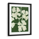 Floraciones Verdes Ii - Andrea Davis | Cuadro decorativo de Canvas Lab