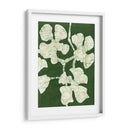 Floraciones Verdes Ii - Andrea Davis | Cuadro decorativo de Canvas Lab