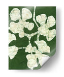 Floraciones Verdes Ii - Andrea Davis | Cuadro decorativo de Canvas Lab