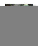 Tranquilidad I - Suzanne Wilkins | Cuadro decorativo de Canvas Lab