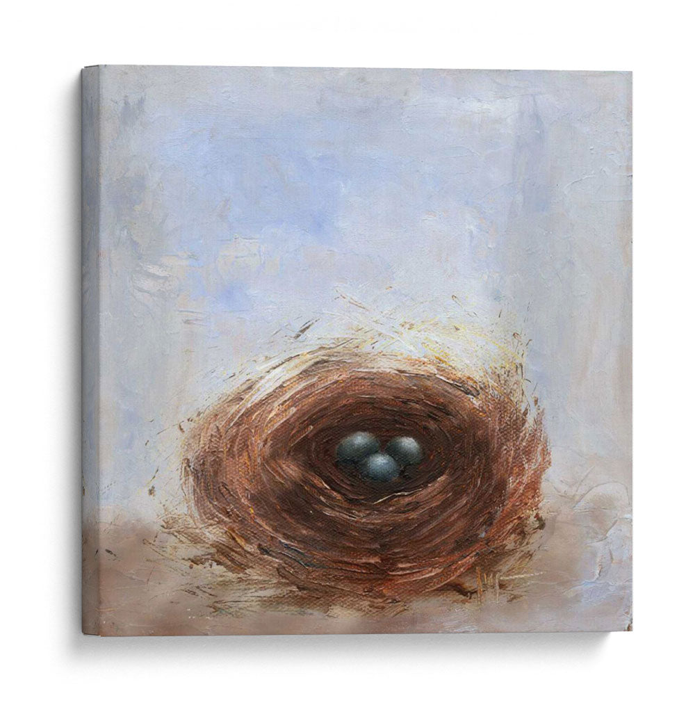 Huevos Anidados Ii - Liz Nichols | Cuadro decorativo de Canvas Lab