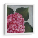 Detalle De La Hortensia Ii - Liz Nichols | Cuadro decorativo de Canvas Lab