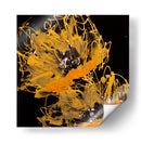 Flor de luz - David Ríos | Cuadro decorativo de Canvas Lab