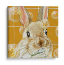 Bubbles - Robert - Dlynn Roll | Cuadro decorativo de Canvas Lab