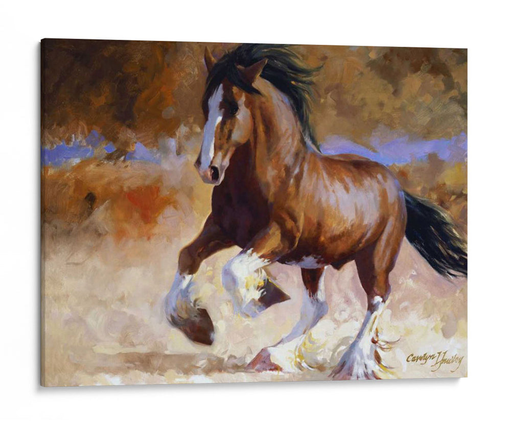 Carrera De Rumis - Carolyne Hawley | Cuadro decorativo de Canvas Lab